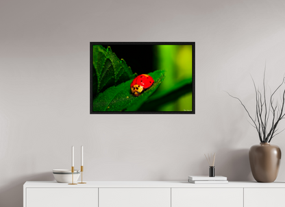 30 x 20″, Floater Frame Black Oak Our Lady Bird