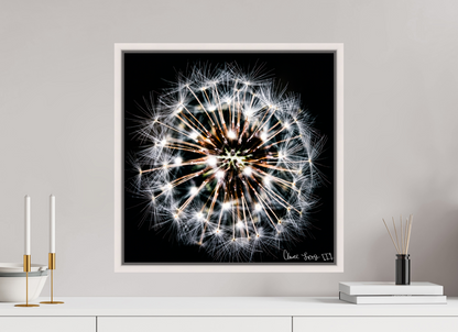 20 x 20″, Floater Frame Maple White Starburst