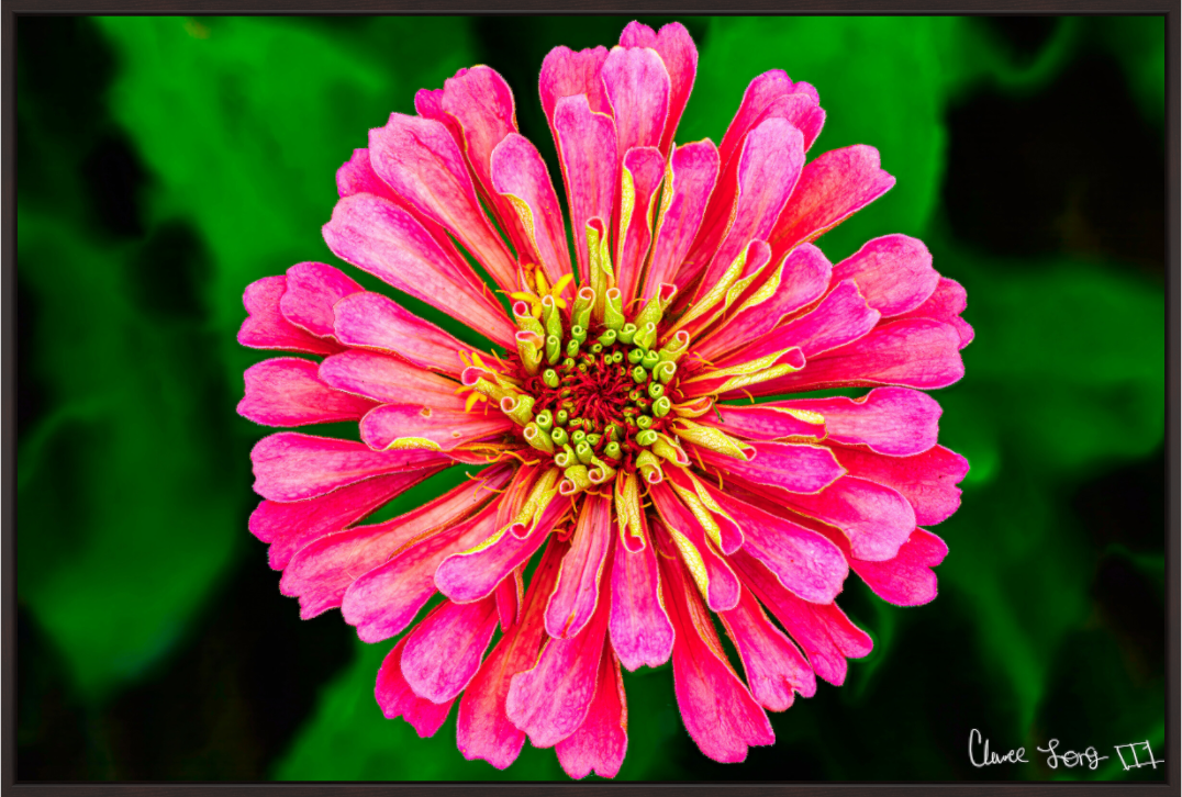 Main image Peach Summer