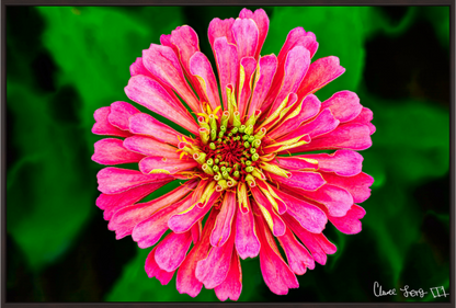 Main image Peach Summer