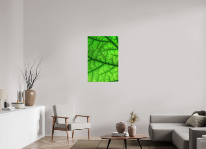 24 x 36″, Matte Canvas Rivers & Streams