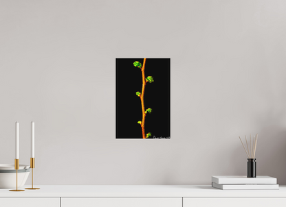 8 x 12″, Matte Canvas The Ladder of Life