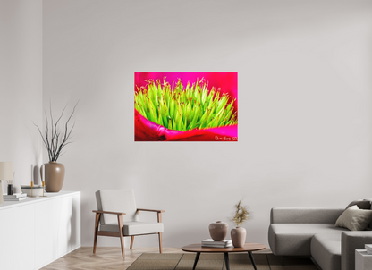 45 x 30″, Matte Canvas Spiked