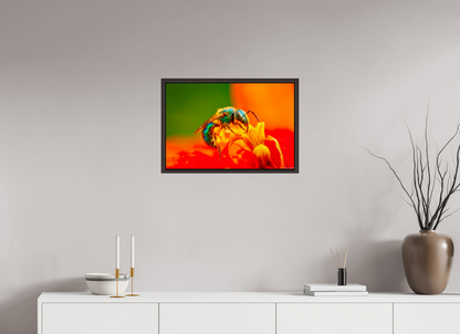 24 x 16″, Floater Frame Alder Brown Salt Licker