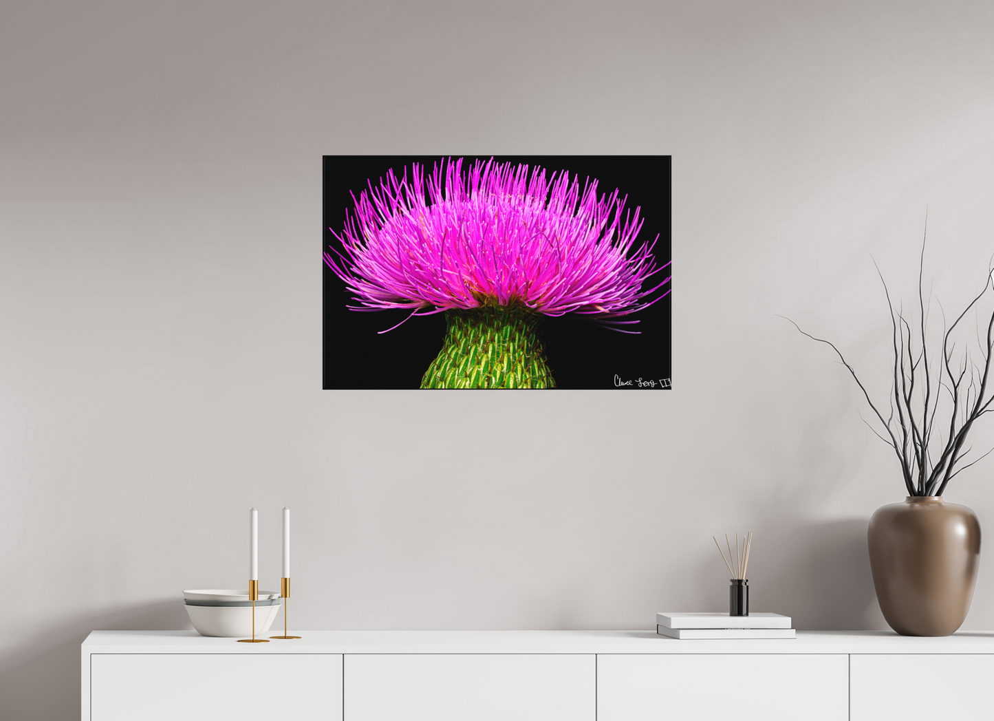 30 x 20″, Matte Canvas Silybum