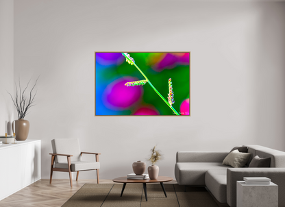 66 x 44″, Floater Frame Natural Oak Technicolor Vibes