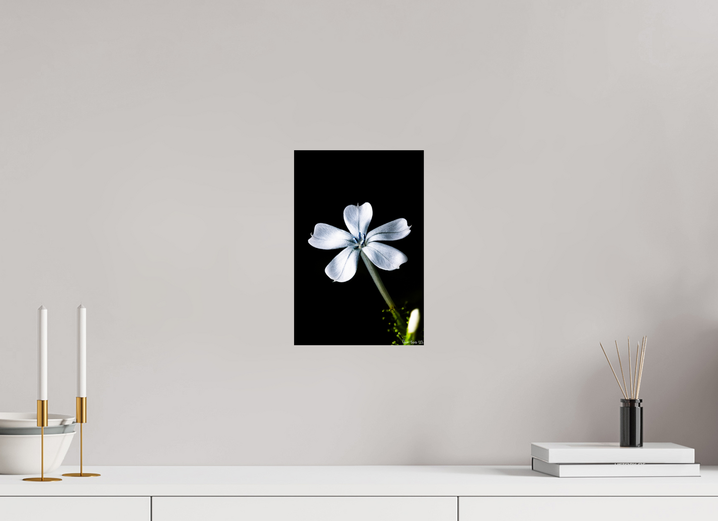 8 x 12″, Glossy Metal Silver Petals