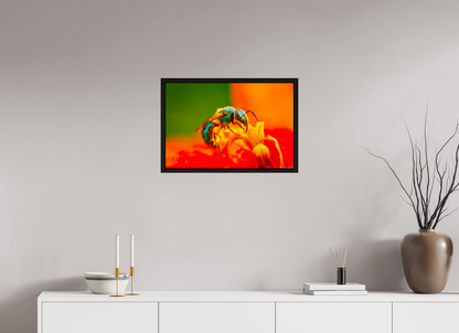 24 x 16″, Floater Frame Black Oak Salt Licker