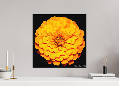 20 x 20″, Matte Metal Midnight Sun