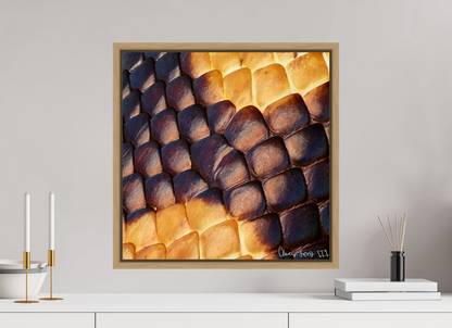 20 x 20″, Floater Frame Natural Oak Python’s Glow