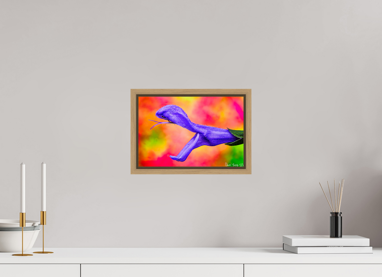 12 x 8″, Floater Frame Natural Oak Eden’s Serpent