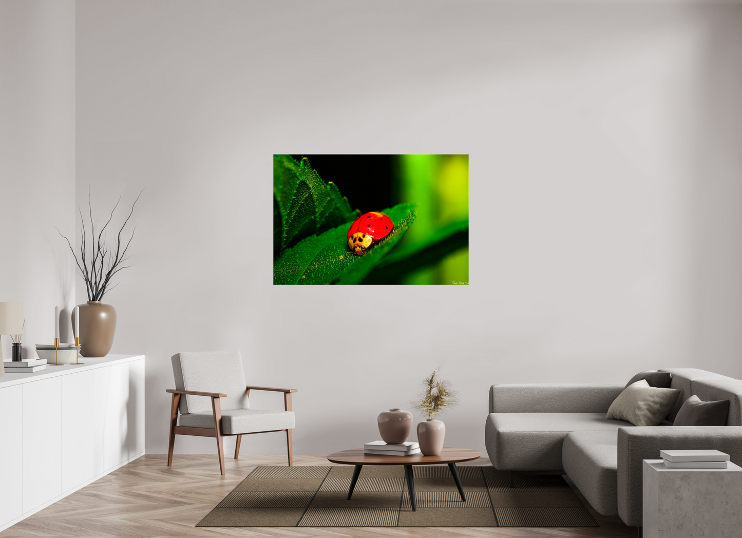 54 x 36″, Glossy Canvas Our Lady Bird