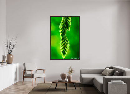 44 x 66″, Floater Frame Alder Brown Harmonic Trinity