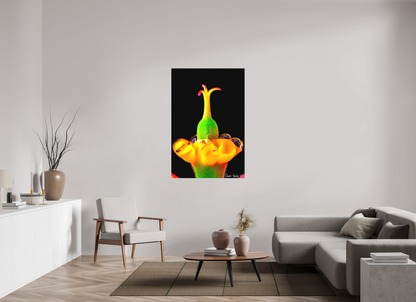 36 x 54″, Matte Canvas Bubble Fountain