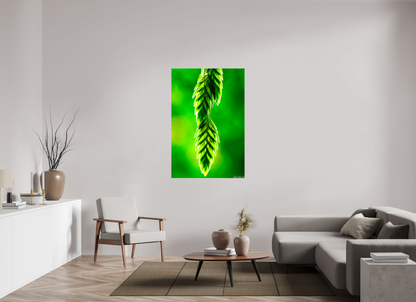 36 x 54″, Glossy Canvas Harmonic Trinity