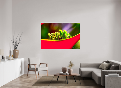 66 x 44″, Glossy Canvas Utopia