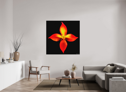 55 x 55″, Matte Metal Blazing Compass
