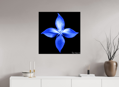 30 x 30″, Glossy Canvas Halcyon Compass