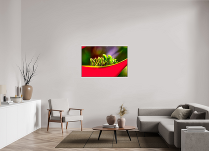 45 x 30″, Floater Frame Maple White Utopia