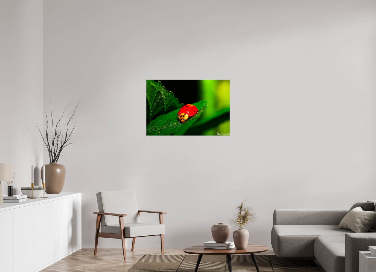 36 x 24″, Glossy Canvas Our Lady Bird