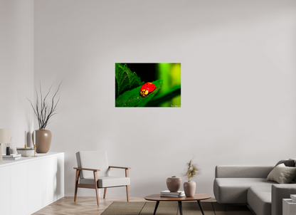 36 x 24″, Glossy Canvas Our Lady Bird