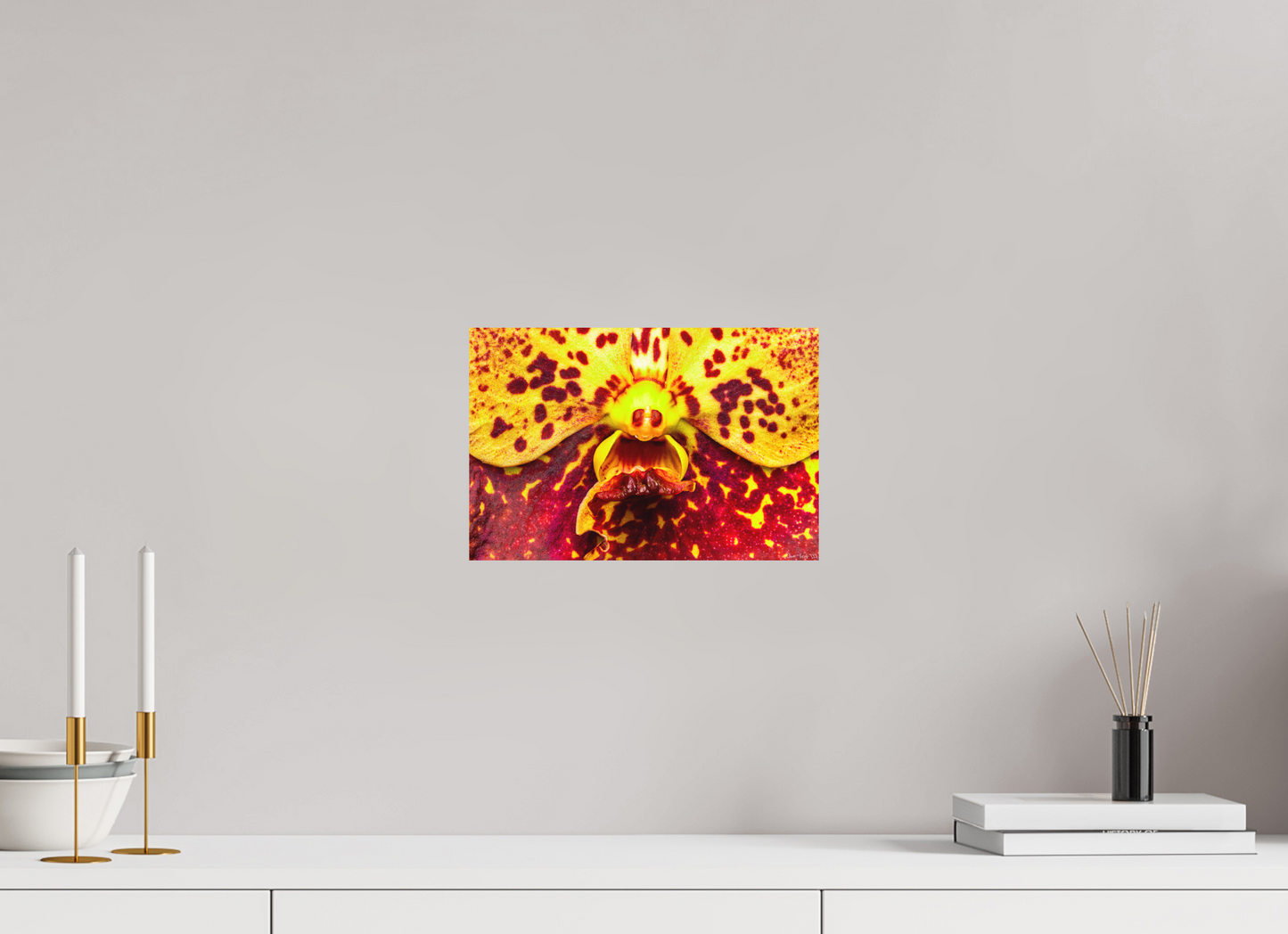 12 x 8″, Forex The Flying Thing
