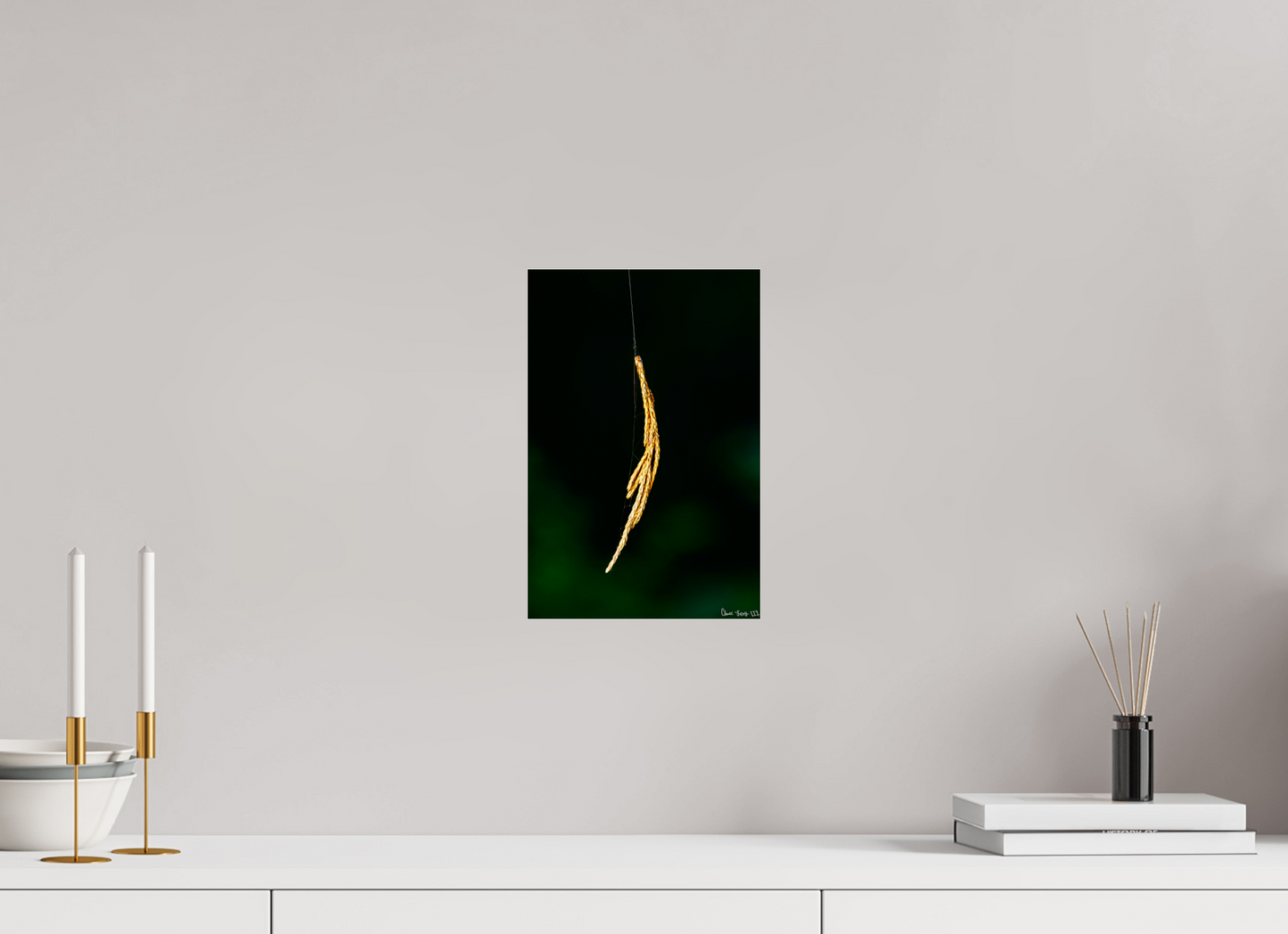 8 x 12″, Acrylic Nature’s Tether