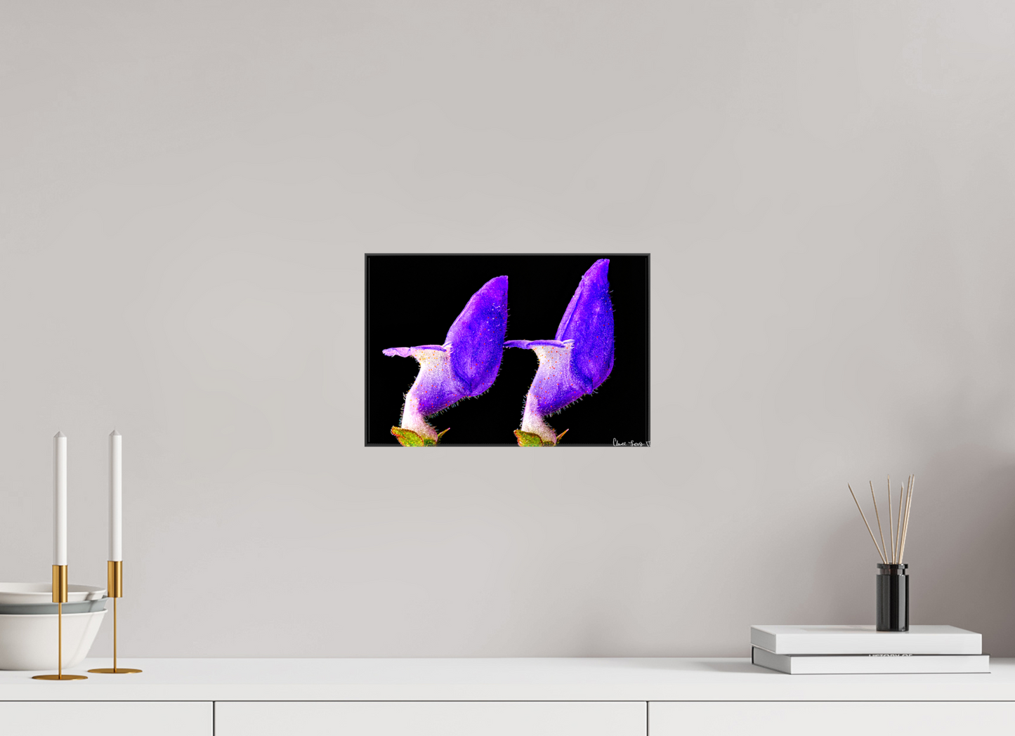 12 x 8″, Glossy Canvas Coleus Barbatus