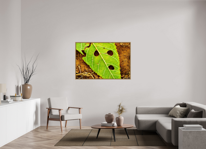54 x 36″, Floater Frame Natural Oak Flabbergasted