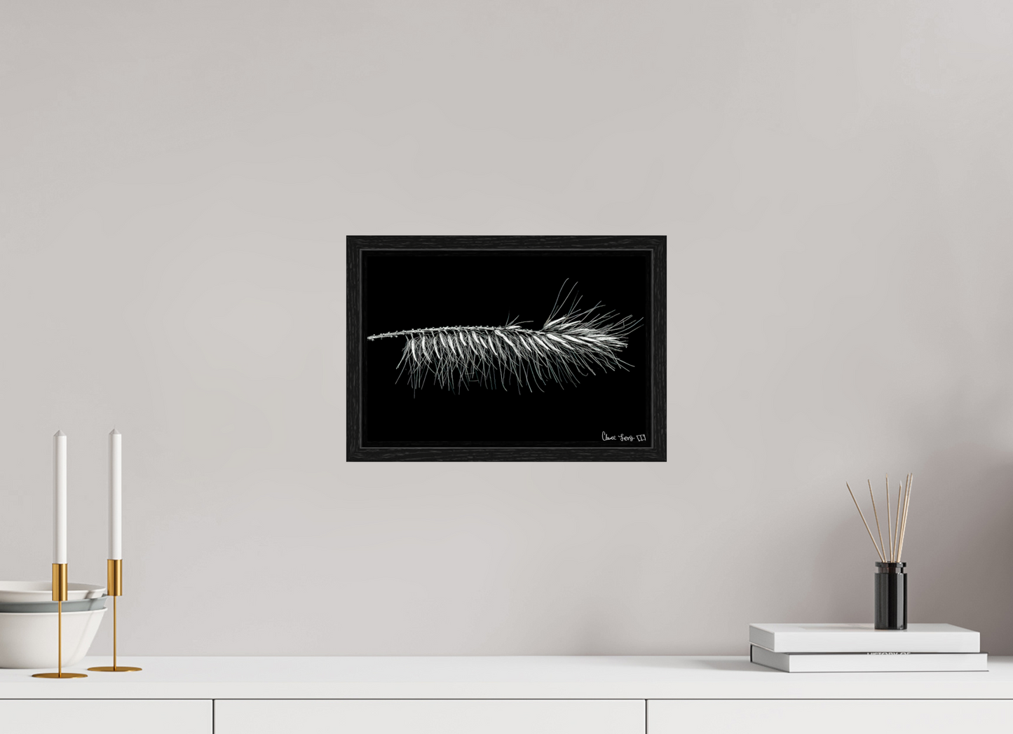 12 x 8″, Floater Frame Black Oak Hallucigenia