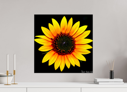 20 x 20″, Glossy Canvas Nana’s Sunflower