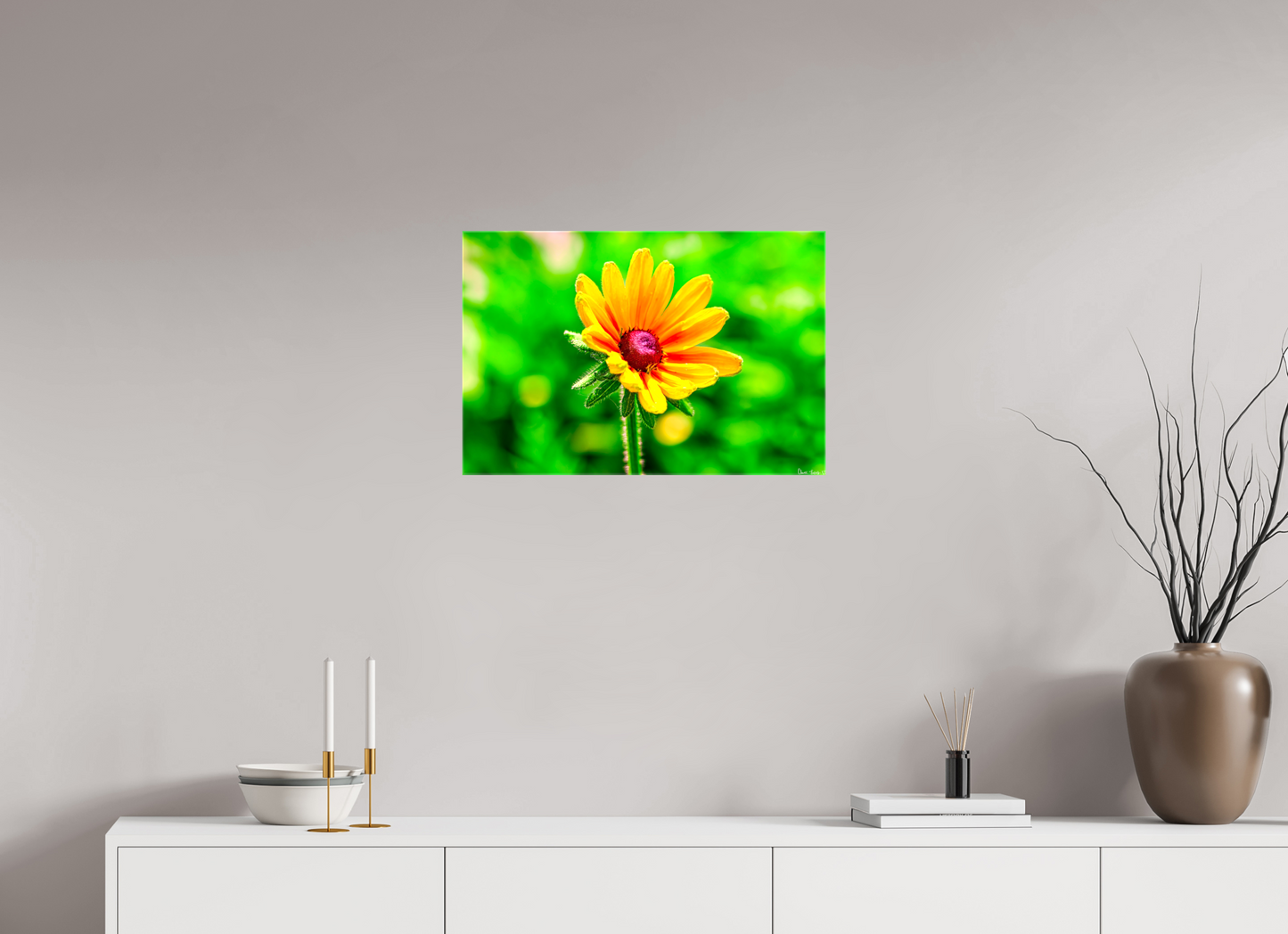 24 x 16″, Glossy Canvas Stillness in the Blur