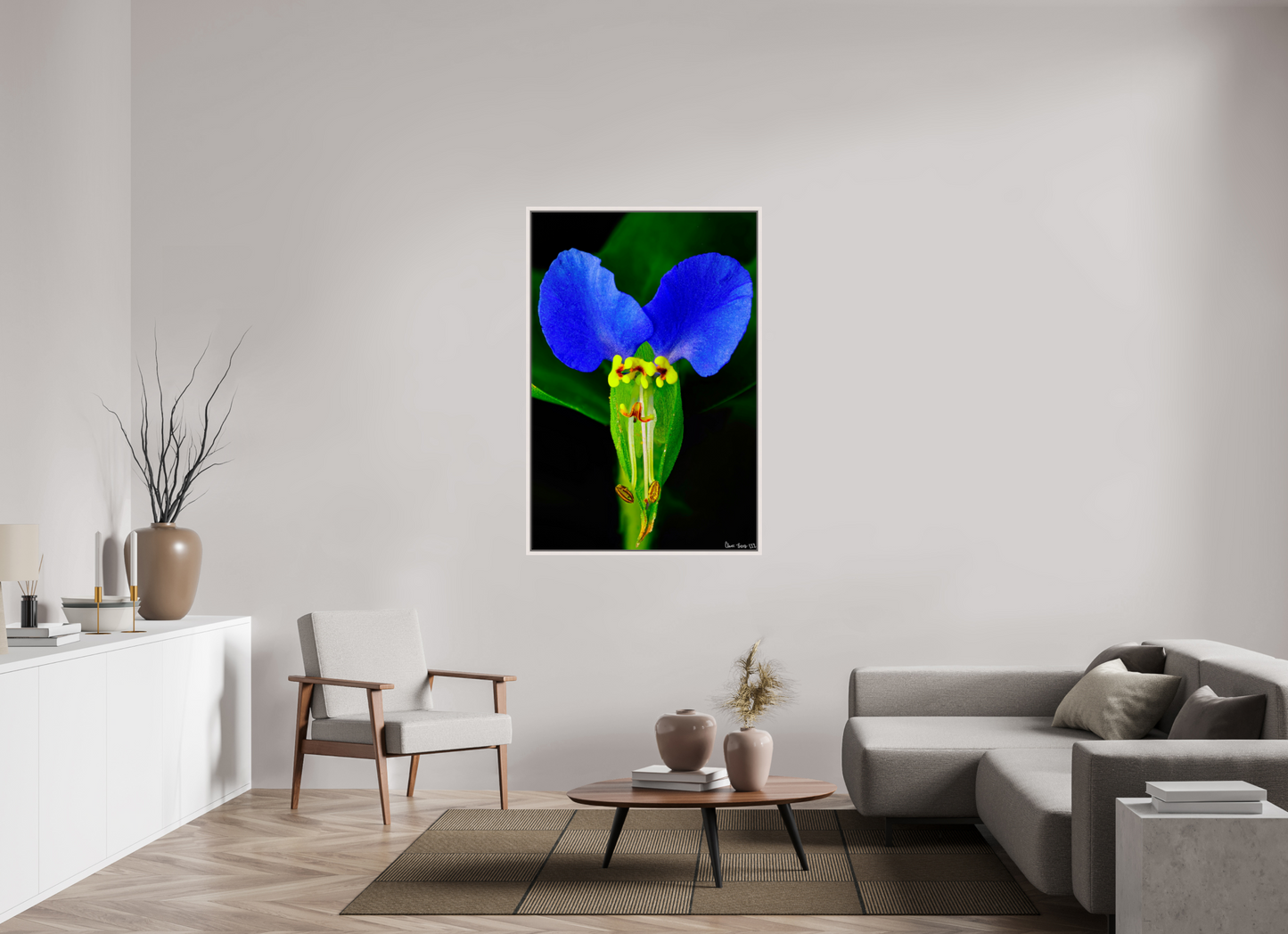 36 x 54″, Floater Frame Maple White Asiatic Dayflower