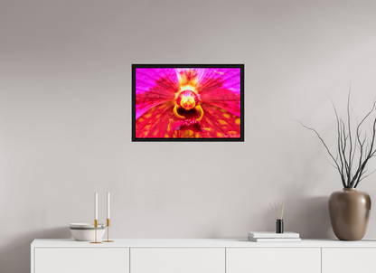 24 x 16″, Floater Frame Black Oak Tie Dye Orchid