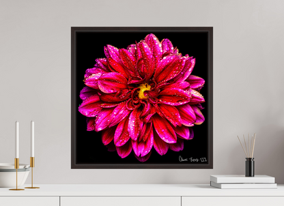 20 x 20″, Floater Frame Alder Brown Droplets Galore