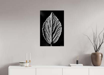 20 x 30″, Acrylic Eclipse