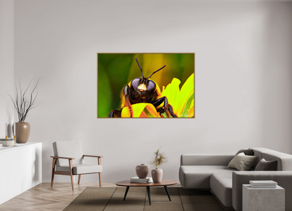 66 x 44″, Floater Frame Natural Oak The Curious Bumblebee