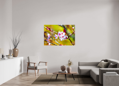 54 x 36″, Glossy Metal Cherry Blossom