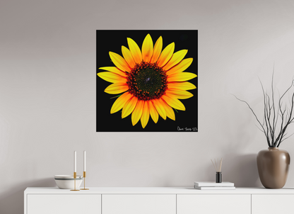 30 x 30″, Matte Metal Nana’s Sunflower