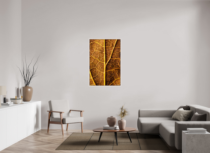 30 x 45″, Floater Frame Maple White Roads to Riches