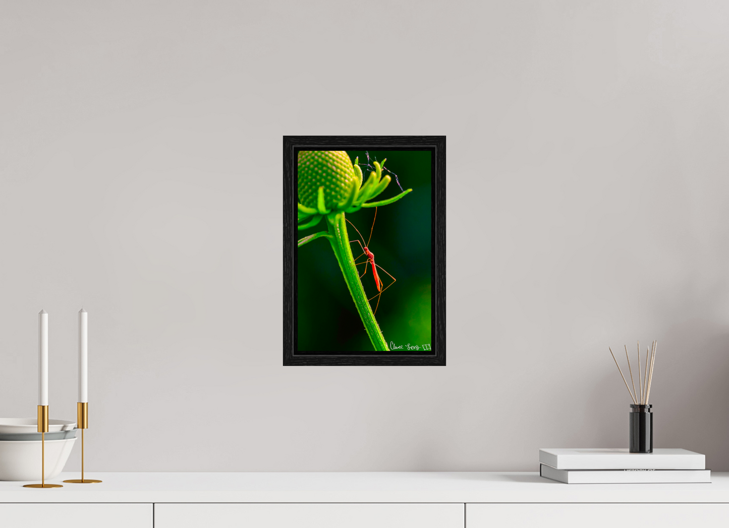 8 x 12″, Floater Frame Black Oak Reaching the Apex