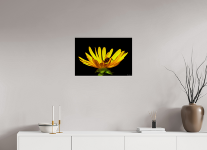 24 x 16″, Photo Print on Aluminum Backing Sweet Dreams