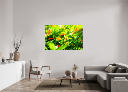 60 x 40″, Glossy Canvas Prominence