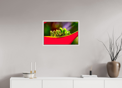 24 x 16″, Floater Frame Maple White Utopia