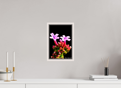 8 x 12″, Floater Frame Maple White Vebena Bonariensis Pair