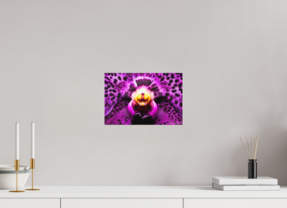 12 x 8″, Matte Metal Piercing Gaze