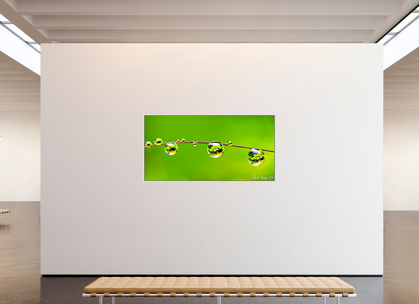 78 x 39″, Floater Frame Maple White Refraction