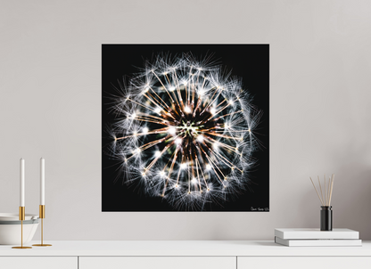 20 x 20″, Forex Starburst