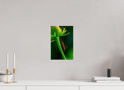 8 x 12″, Glossy Metal Reaching the Apex