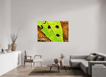 60 x 40″, Glossy Canvas Flabbergasted